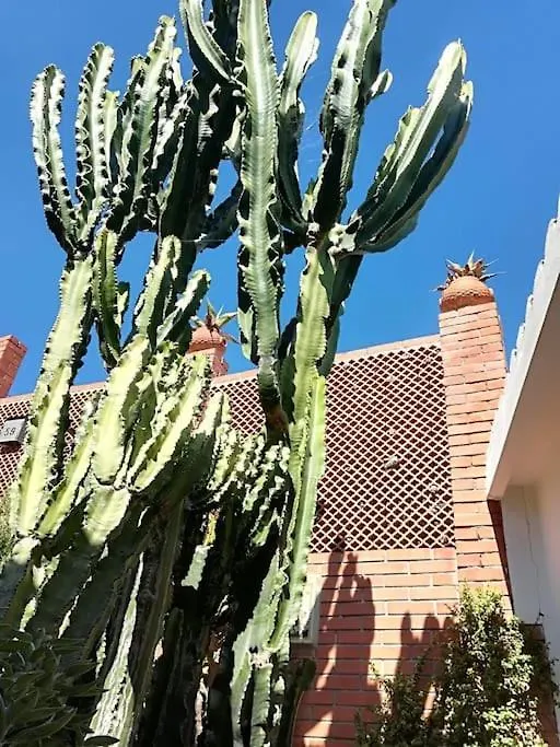 Holiday home Villino Elda Villa Diano Marina Italy