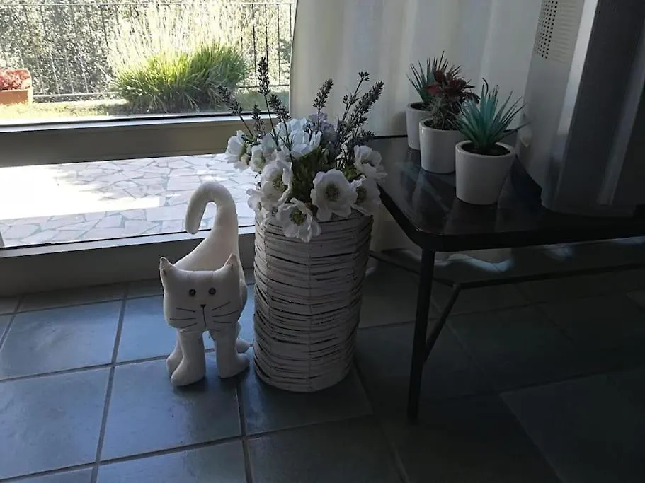Villino Elda Villa Diano Marina Holiday home