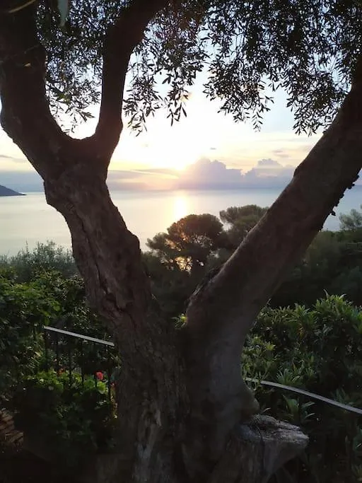 Villino Elda Villa Diano Marina Italy